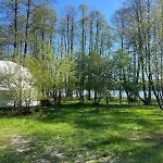 Borowy Glamp Wiecej Niz *
