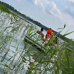 Borowy Glamp Wiecej Niz Mecikal