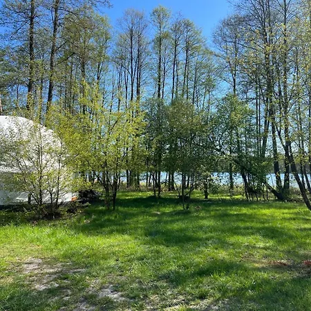 Borowy Glamp Wiecej Niz *