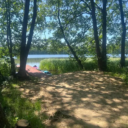 Borowy Glamp Wiecej Niz Mecikal