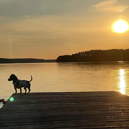 Borowy Glamp Wiecej Niz