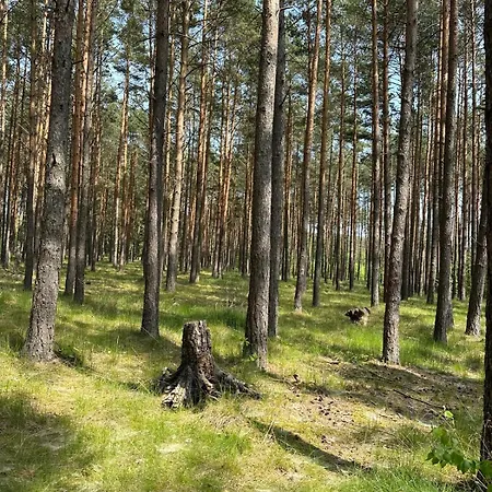 Campsite Borowy Glamp Wiecej Niz Mecikal