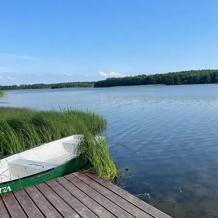Borowy Glamp Wiecej Niz * Mecikal
