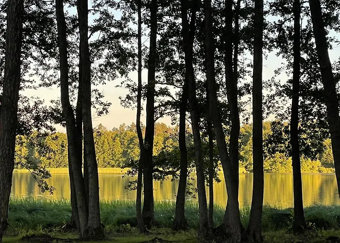 Borowy Glamp Niż Kemping Mecikal