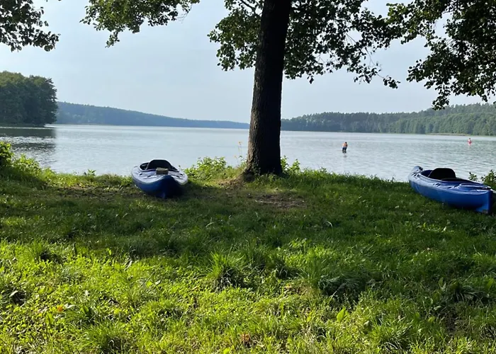 Borowy Glamp Niż Kemping Mecikal