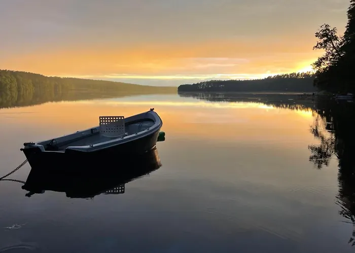 Kemping Borowy Glamp Niż Mecikal