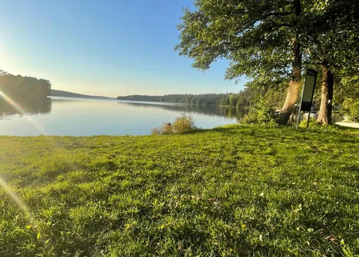 Borowy Glamp Niż * Mecikal