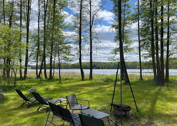 Borowy Glamp Niż * Mecikal