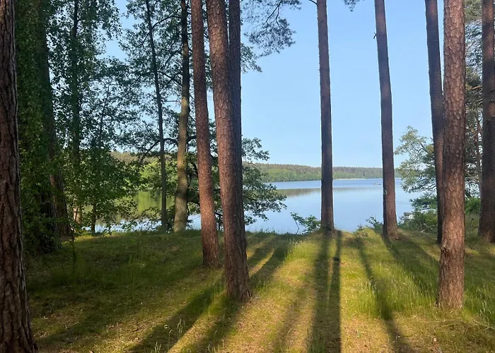 Borowy Glamp Niż Kemping *