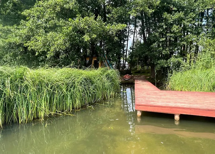 Borowy Glamp Niż Kemping