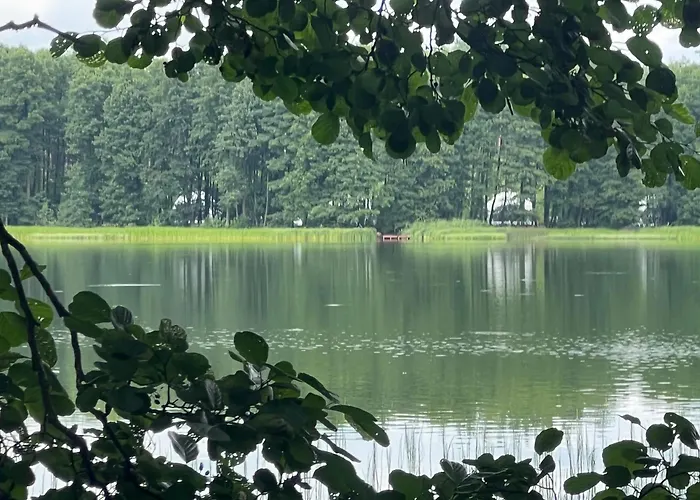 Borowy Glamp Niż Kemping Mecikal